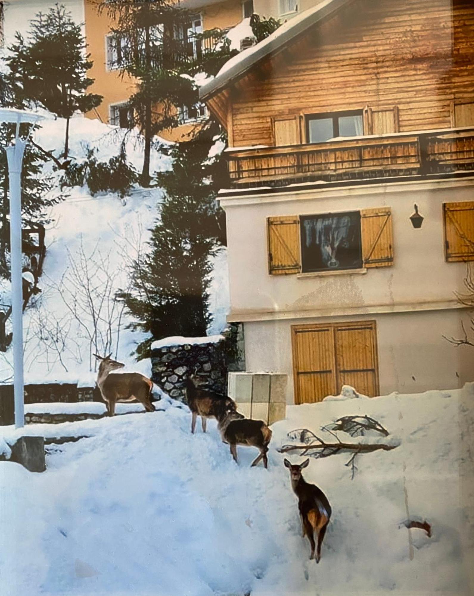 Chalet Familial אורון מראה חיצוני תמונה